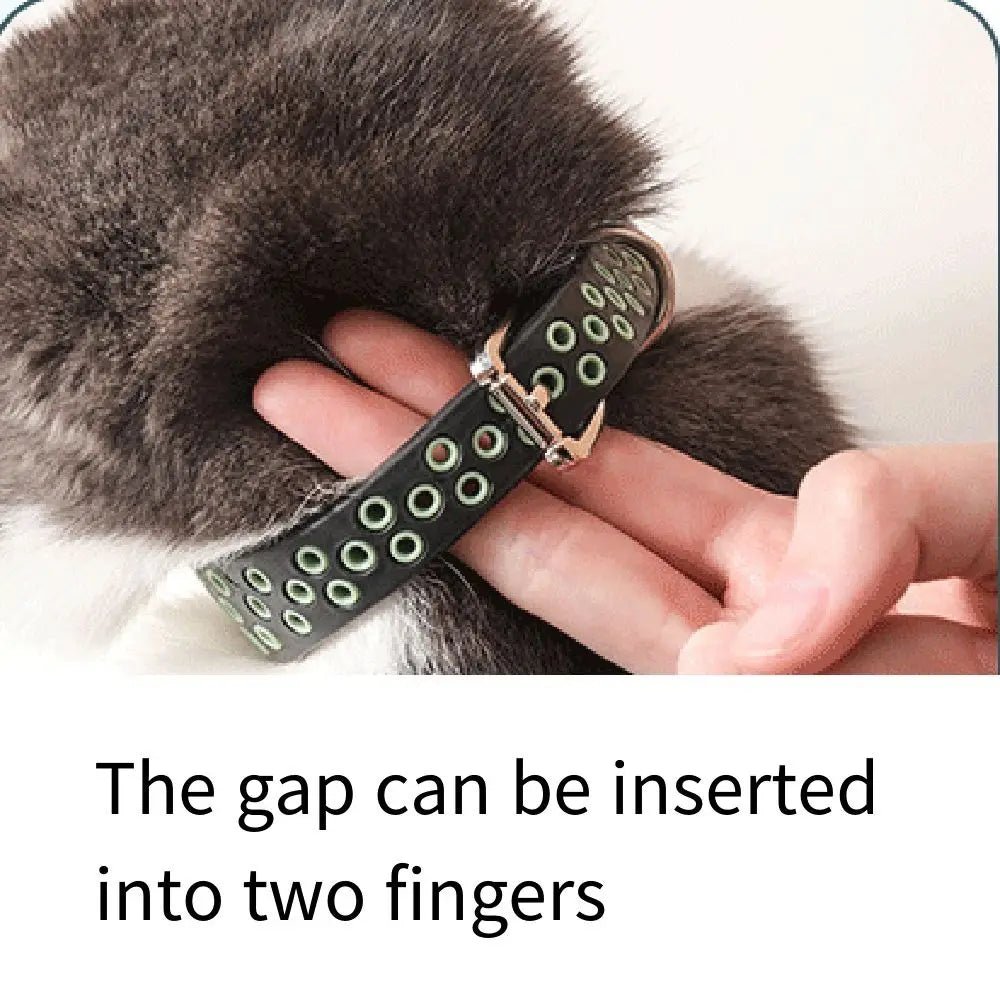 Verstelbare Anti - Vlooien Band - Duke & Scoop