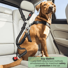 Verstelbare Autogordel met Sterke Karabijnhaak - Duke & Scoop