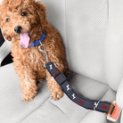 Verstelbare Autogordel voor Honden - Duke & Scoop