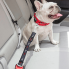 Verstelbare Autogordel voor Honden - Duke & Scoop