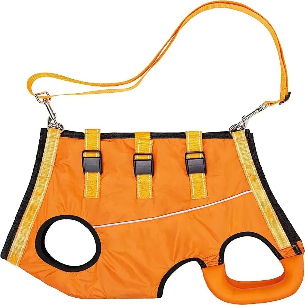 Verstelbare Honden Draagband voor Ondersteuning - Duke & Scoop