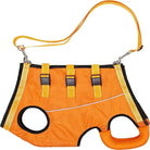 Verstelbare Honden Draagband voor Ondersteuning - Duke & Scoop