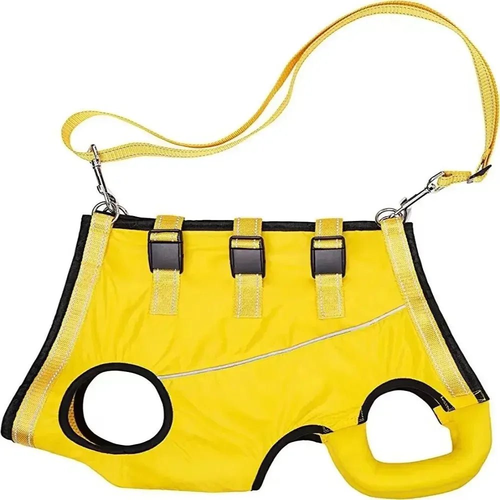 Verstelbare Honden Draagband voor Ondersteuning - Duke & Scoop