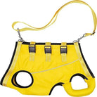 Verstelbare Honden Draagband voor Ondersteuning - Duke & Scoop