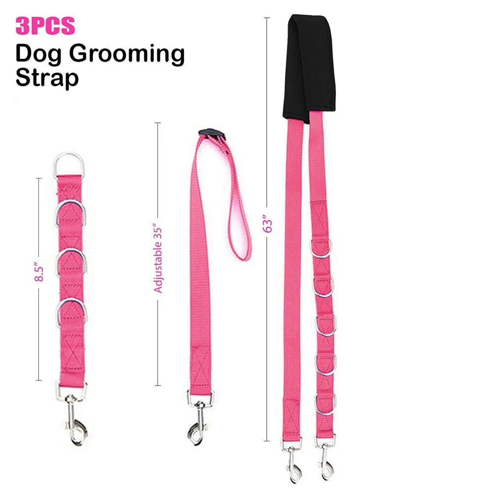 Verstelbare Honden Tractieband voor Verzorging - Duke & Scoop