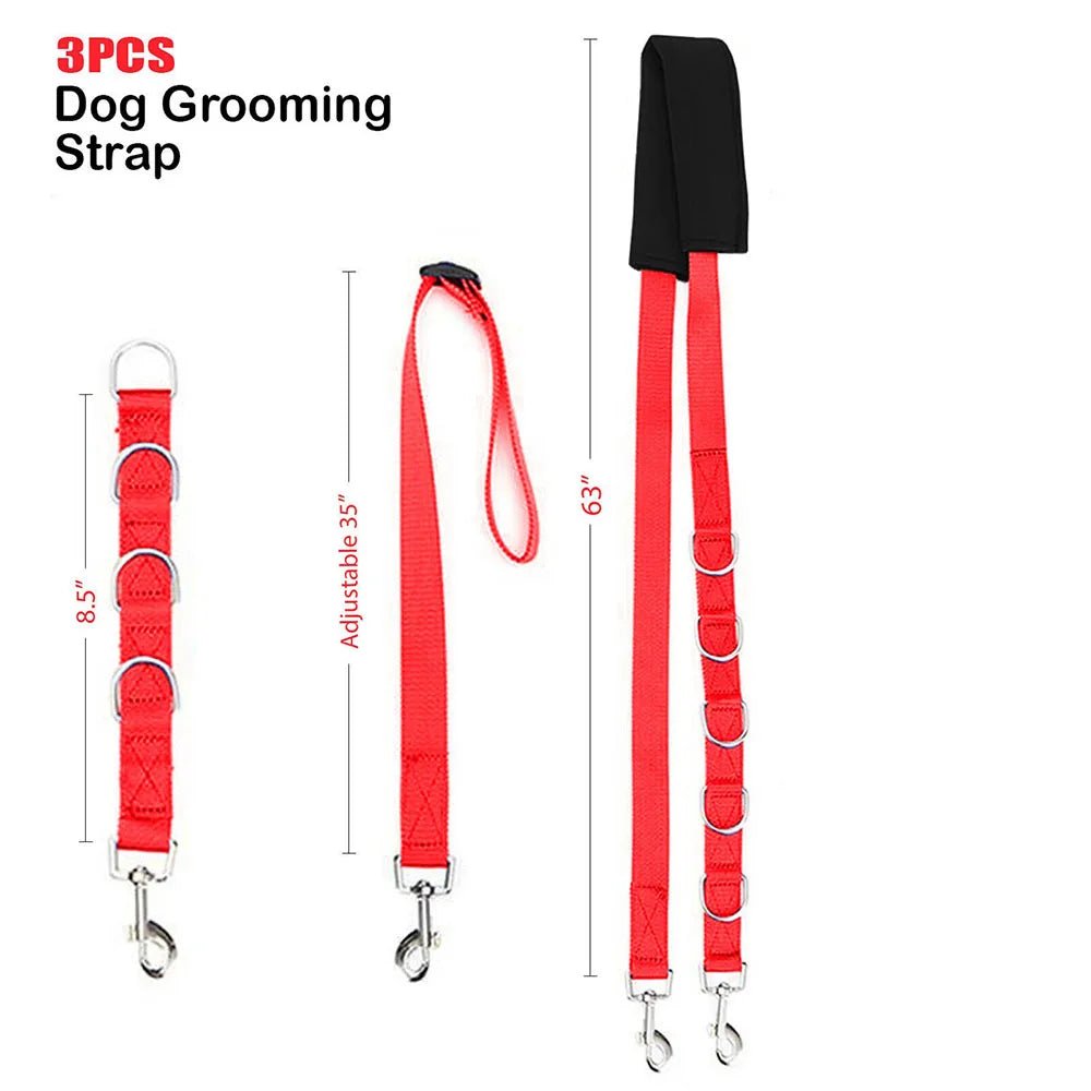 Verstelbare Honden Tractieband voor Verzorging - Duke & Scoop