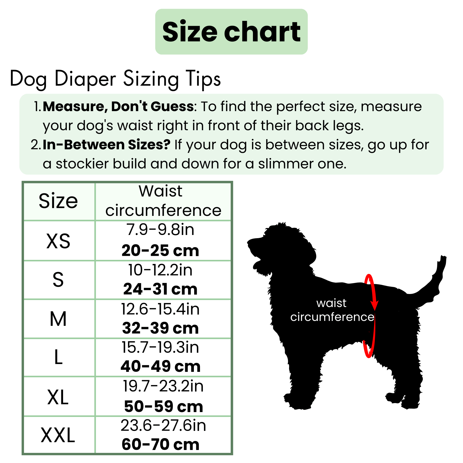 Verstelbare Hygiënebroek voor Honden - Duke & Scoop