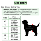 Verstelbare Hygiënebroek voor Honden - Duke & Scoop