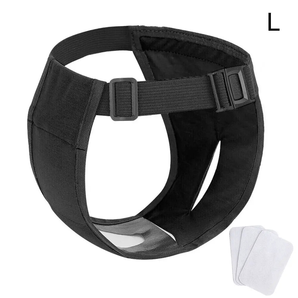 Verstelbare Hygiënebroek voor Honden - Duke & Scoop