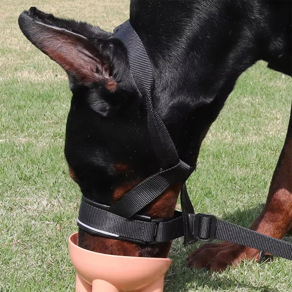 Verstelbare Muilkorf Halti - Stijl - Duke & Scoop