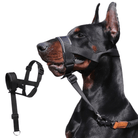 Verstelbare Muilkorf Halti - Stijl - Duke & Scoop