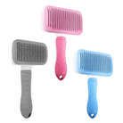 Verzorging Bundel 2.0 - Duke & Scoop