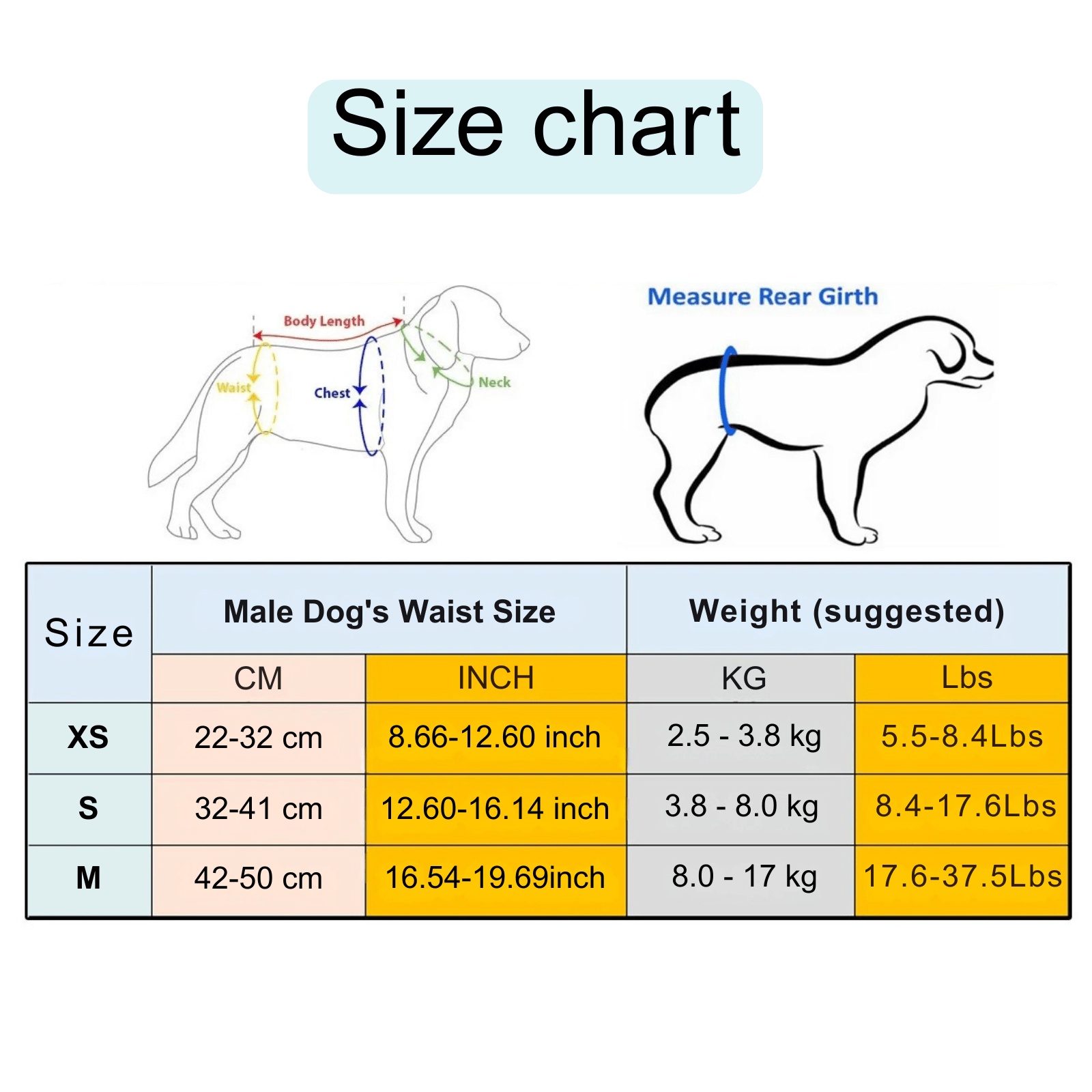 Wasbare Buikband voor Reuen - Duke & Scoop
