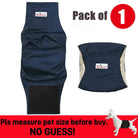 Wasbare Buikband voor Reuen - Duke & Scoop