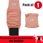 Wasbare Buikband voor Reuen - Duke & Scoop