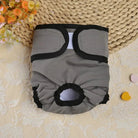 Wasbare Honden LoopsheidLuier - Duke & Scoop