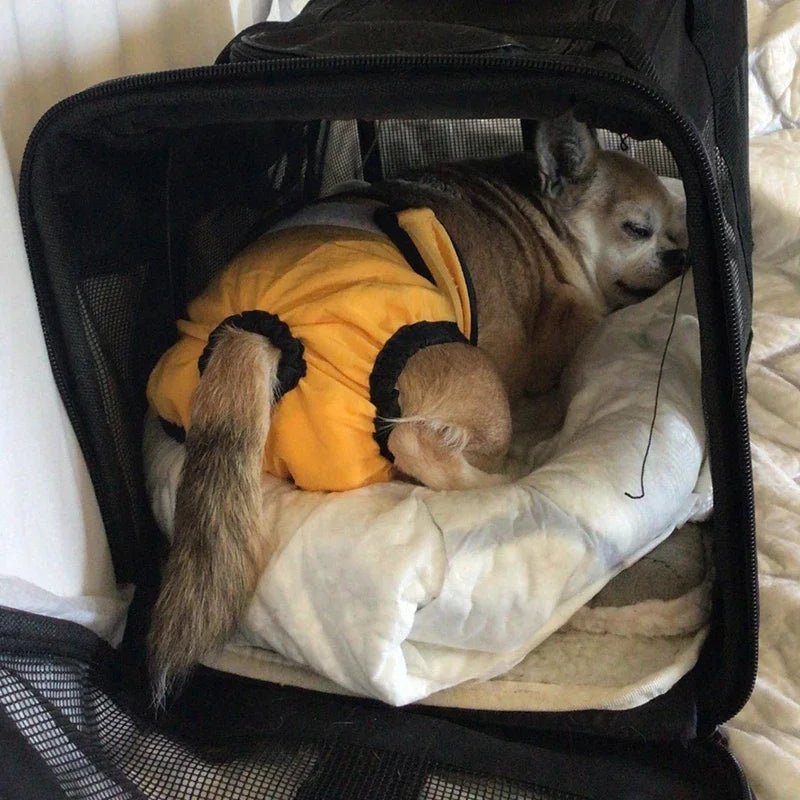 Wasbare Honden LoopsheidLuier - Duke & Scoop