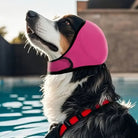 Waterdichte Hond Oorbeschermers - Duke & Scoop