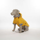 Waterdichte Regenjas voor Honden - Duke & Scoop