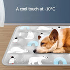 Zomer Koelmat - Gel Cooling Pad - Duke & Scoop
