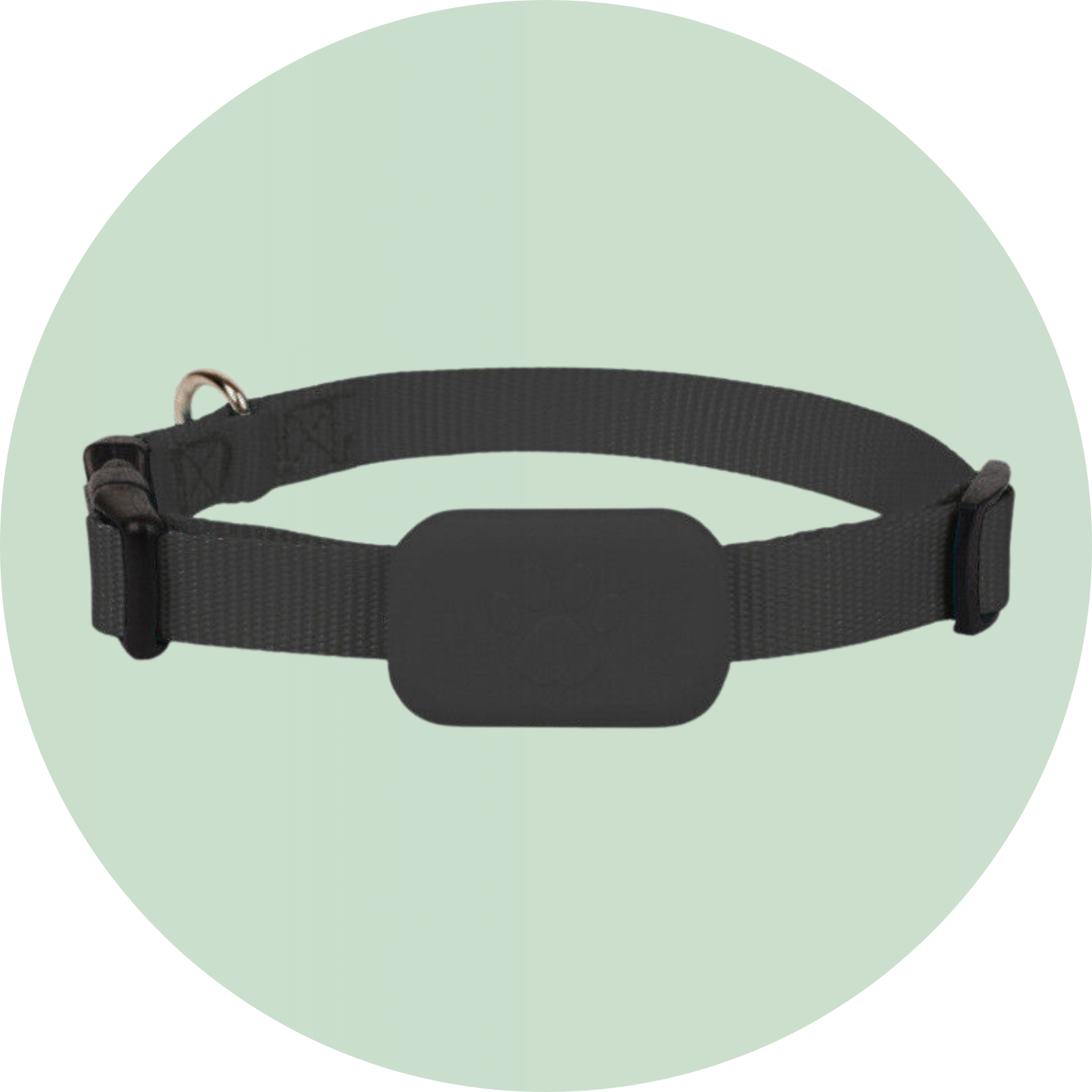 GPS hondentracker