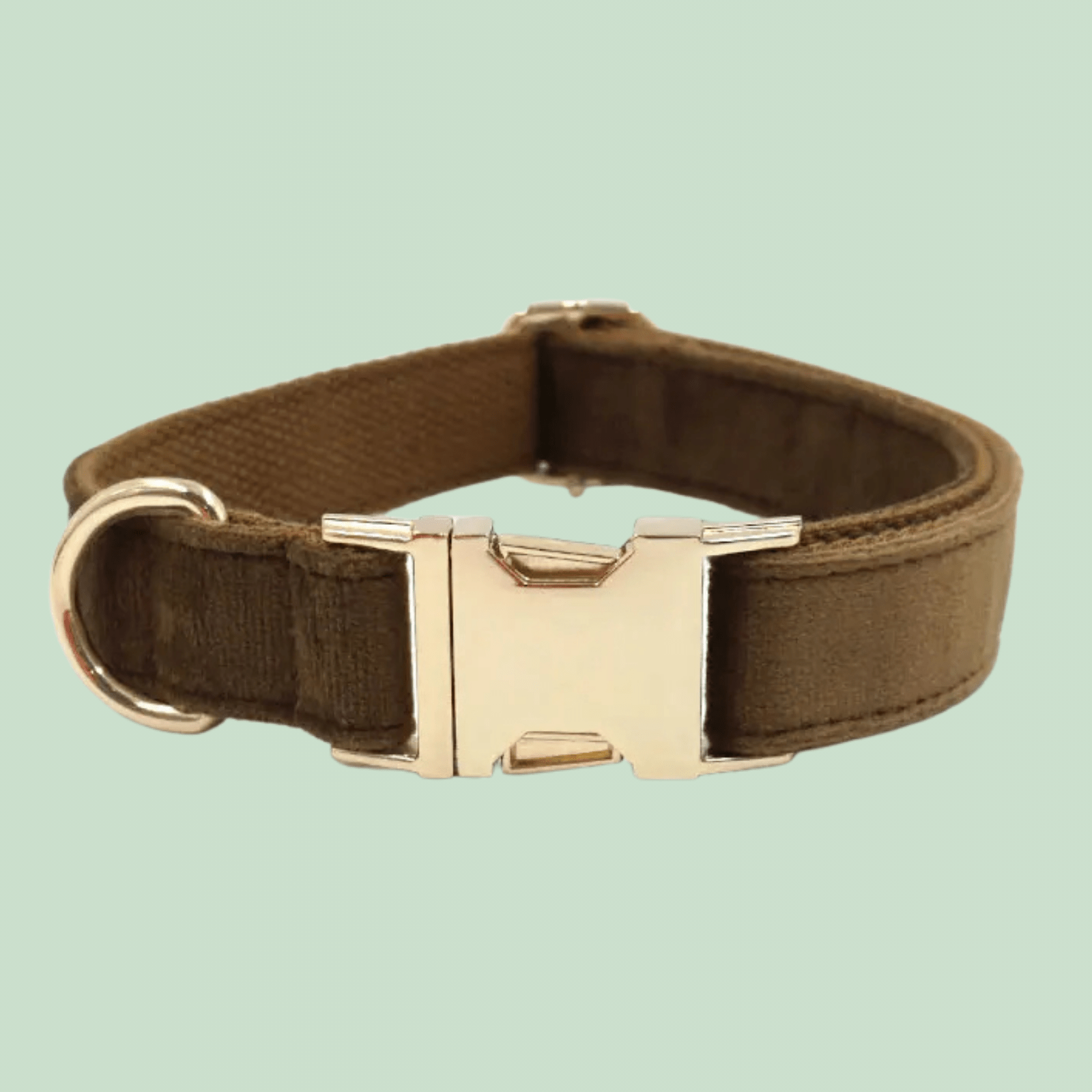 Halsband & riem - Duke & Scoop