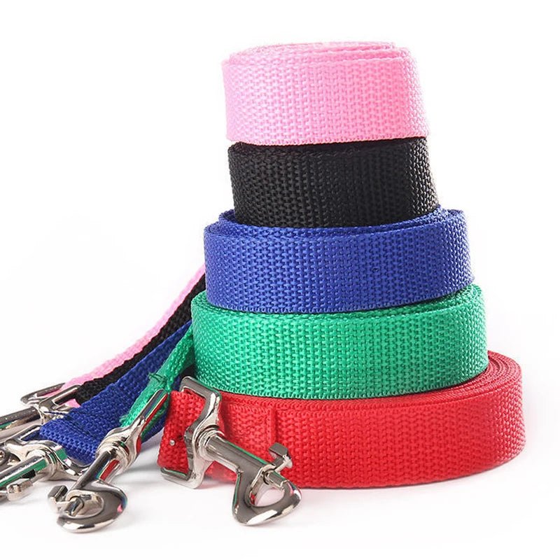 10M Trainingslijn – Extra Lange Hondenriem - Duke & Scoop