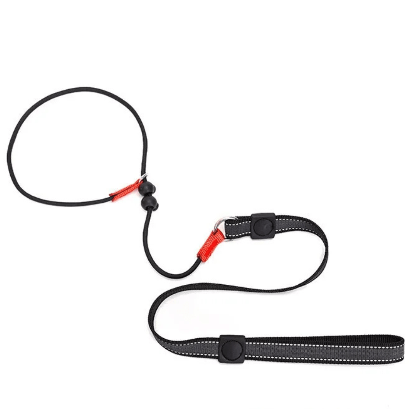 2 - in - 1 Slipriem & Halsband - Duke & Scoop