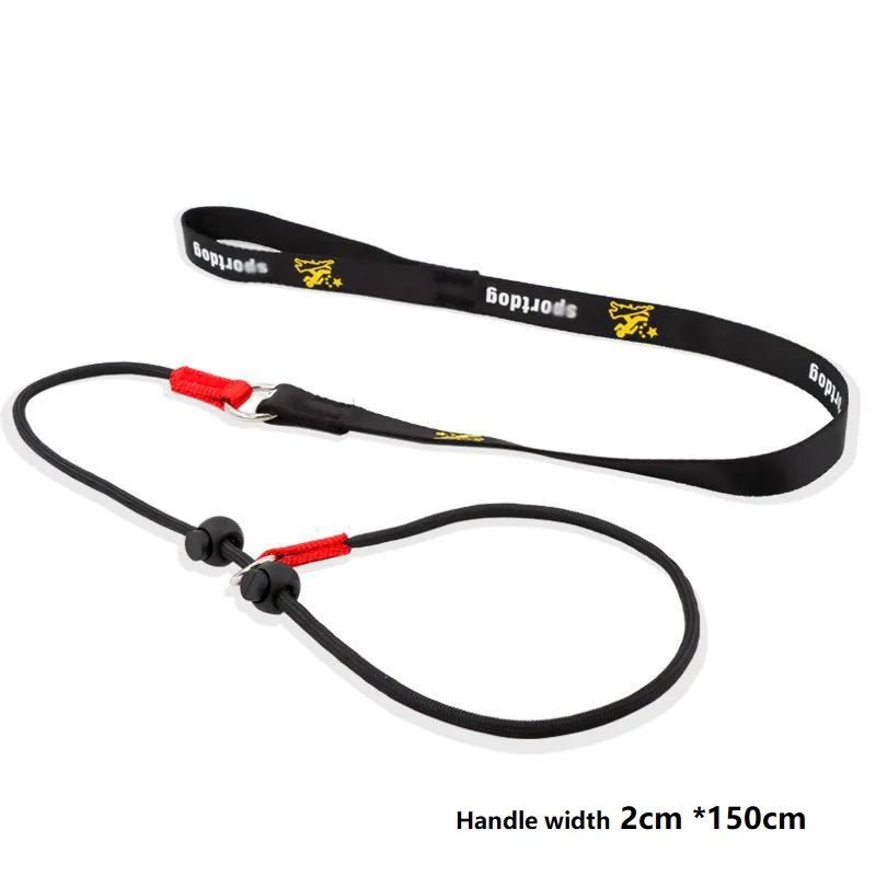2 - in - 1 Slipriem & Halsband - Duke & Scoop