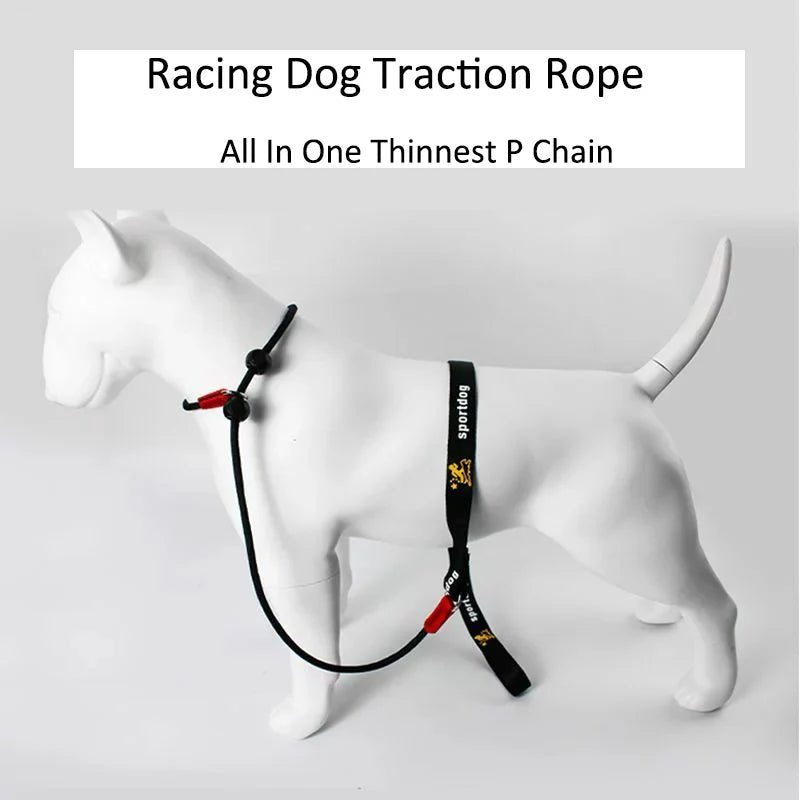2 - in - 1 Slipriem & Halsband - Duke & Scoop