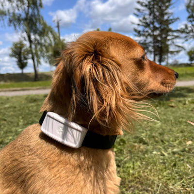 Review foto van Sophie J.