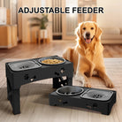 3 - in - 1 Verhoogde Voerbak – Dubbele Slowfeeders - Duke & Scoop