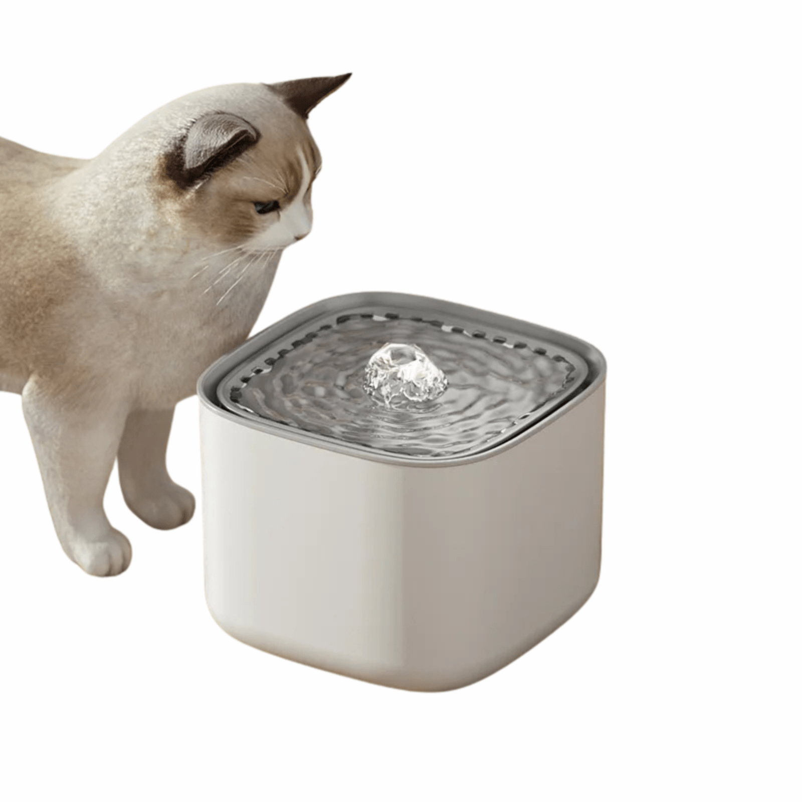 3L Automatische Katten Drinkfontein – USB & Fluisterstil - Duke & Scoop