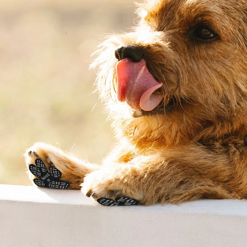 4 - Pack Antislip Pootbeschermers voor Honden - Duke & Scoop