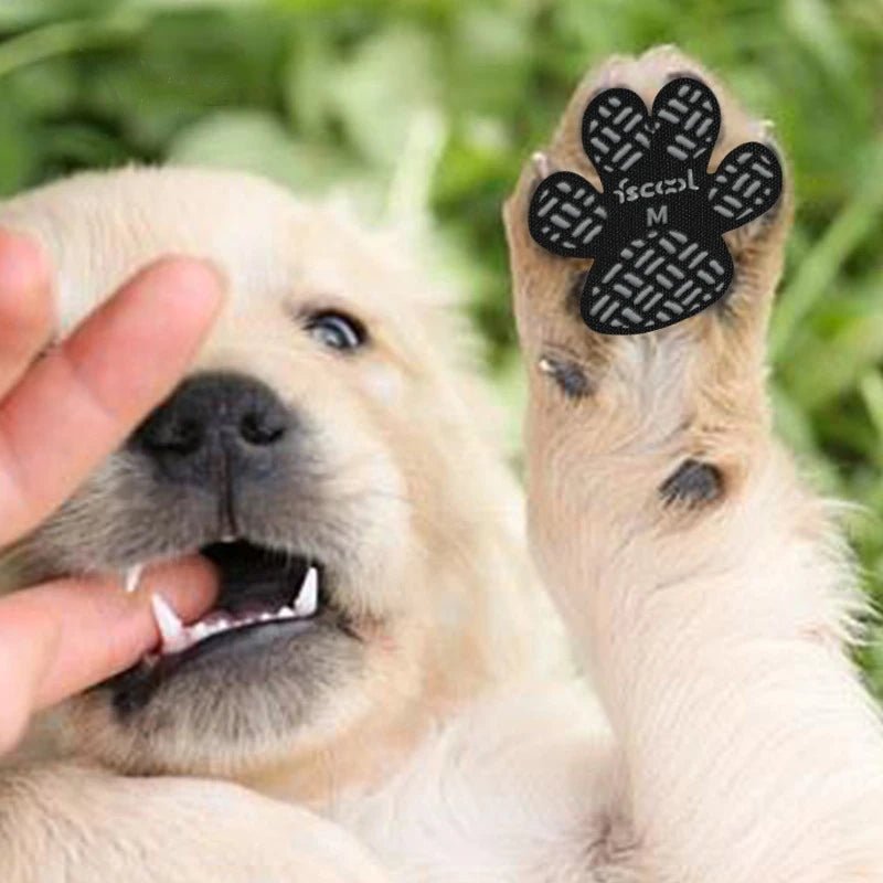 4 - Pack Antislip Pootbeschermers voor Honden - Duke & Scoop
