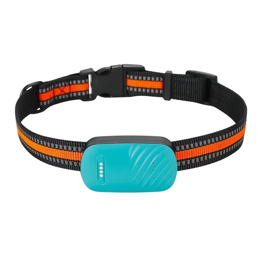 4G GPS Tracker voor Honden en Katten - Duke & Scoop
