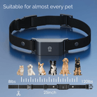4G GPS Tracker voor Huisdieren – Waterdicht - Duke & Scoop