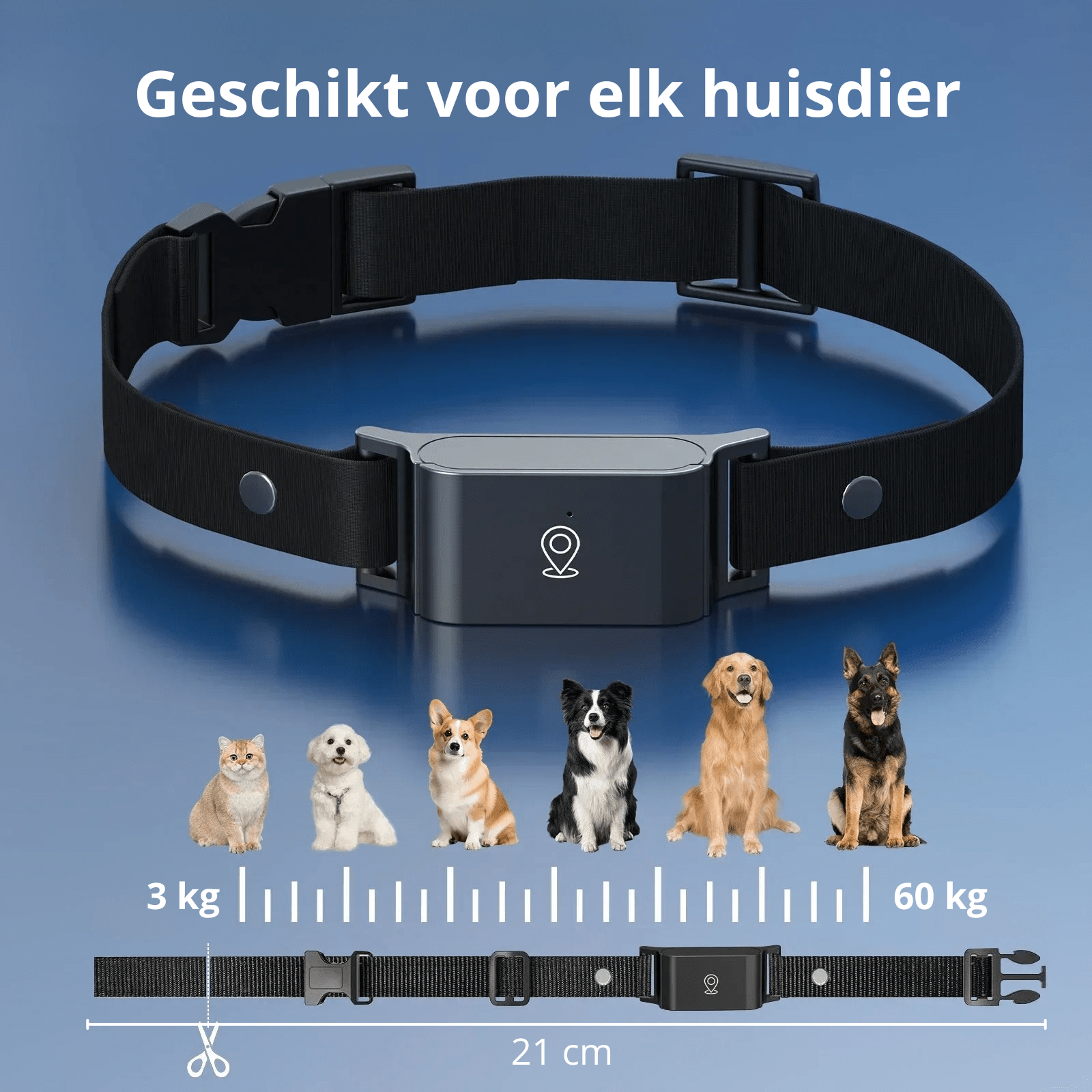 4G GPS Tracker voor Huisdieren – Waterdicht - Duke & Scoop