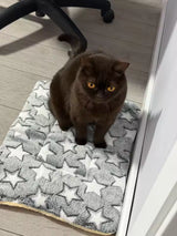 Foto van Lianne I.