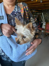 Huisdier foto