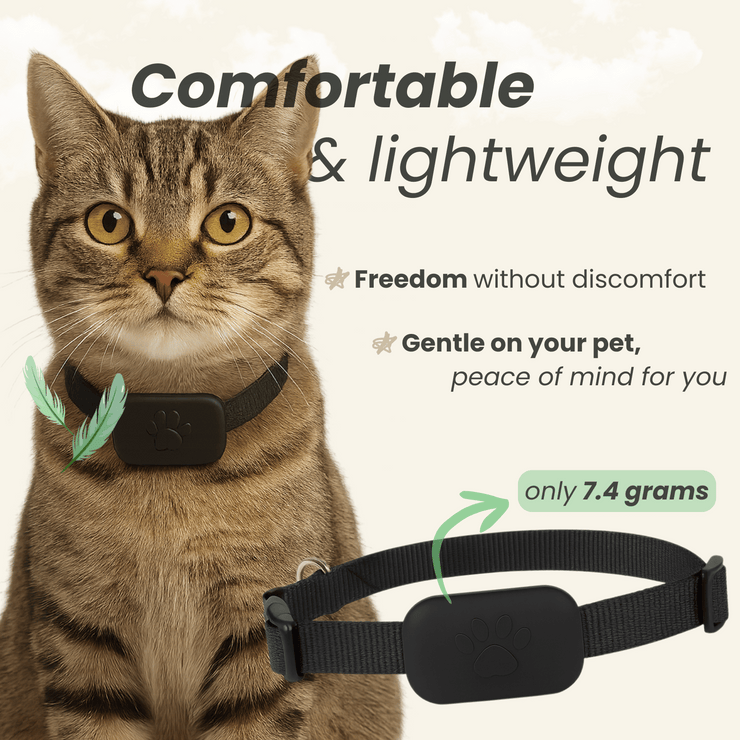PetTrack - Mini GPS Tracker for Dog and Cat with Motion Alert and Long ...