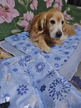 Huisdier foto