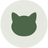 Kitten