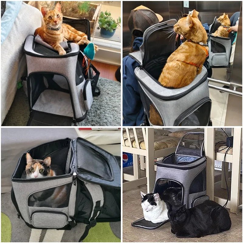 Ademende Rugzak voor Kat & Hond - Duke & Scoop