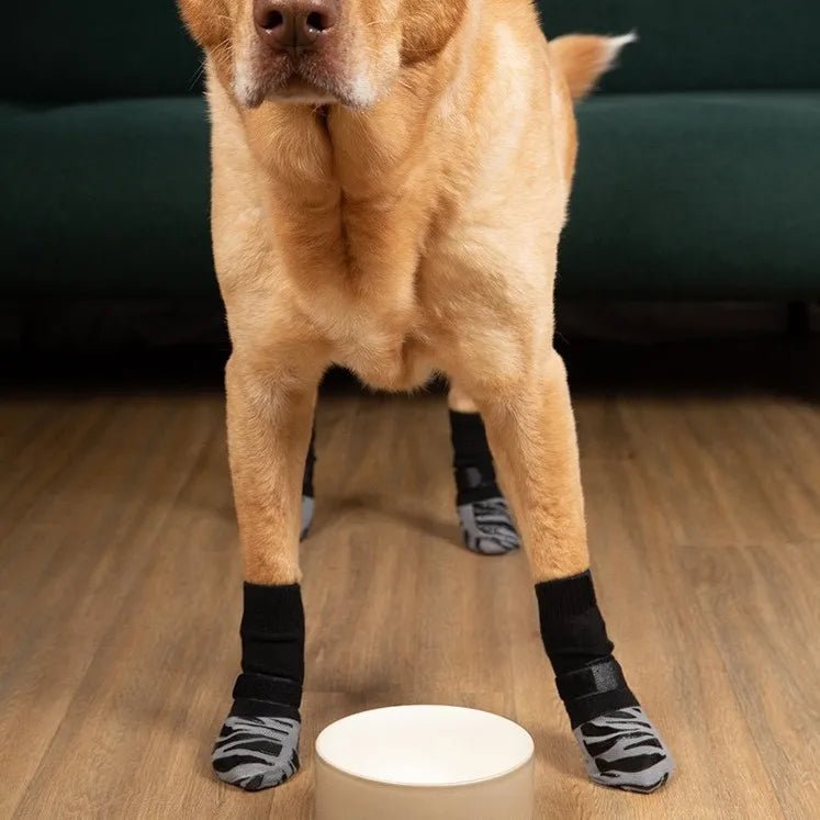 Anti - slip Hondensokken - Duke & Scoop