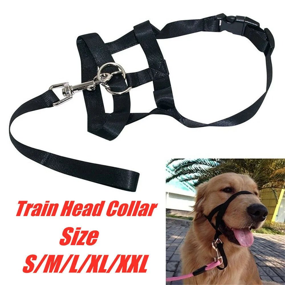 Anti - Trek Honden Halster – Halti - Style - Duke & Scoop
