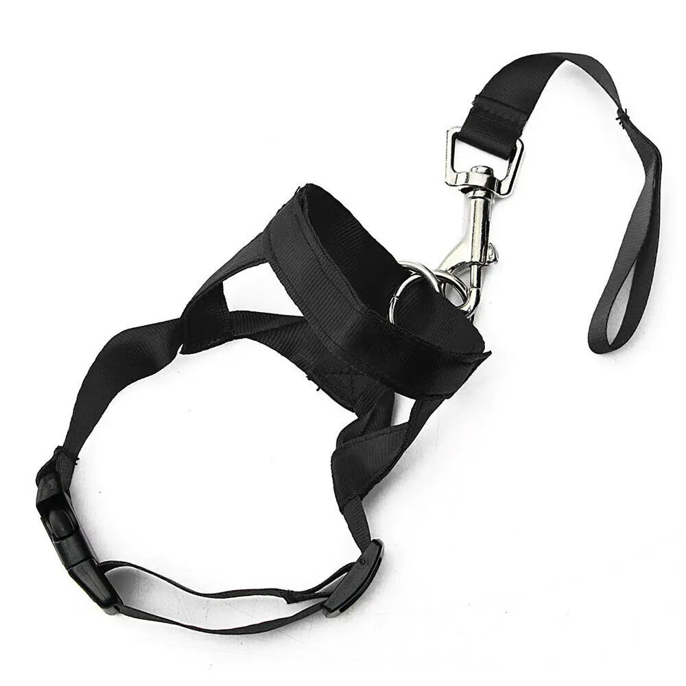 Anti - Trek Honden Halster – Halti - Style - Duke & Scoop