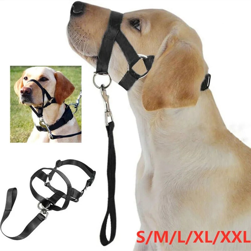 Anti - Trek Honden Halster – Halti - Style - Duke & Scoop