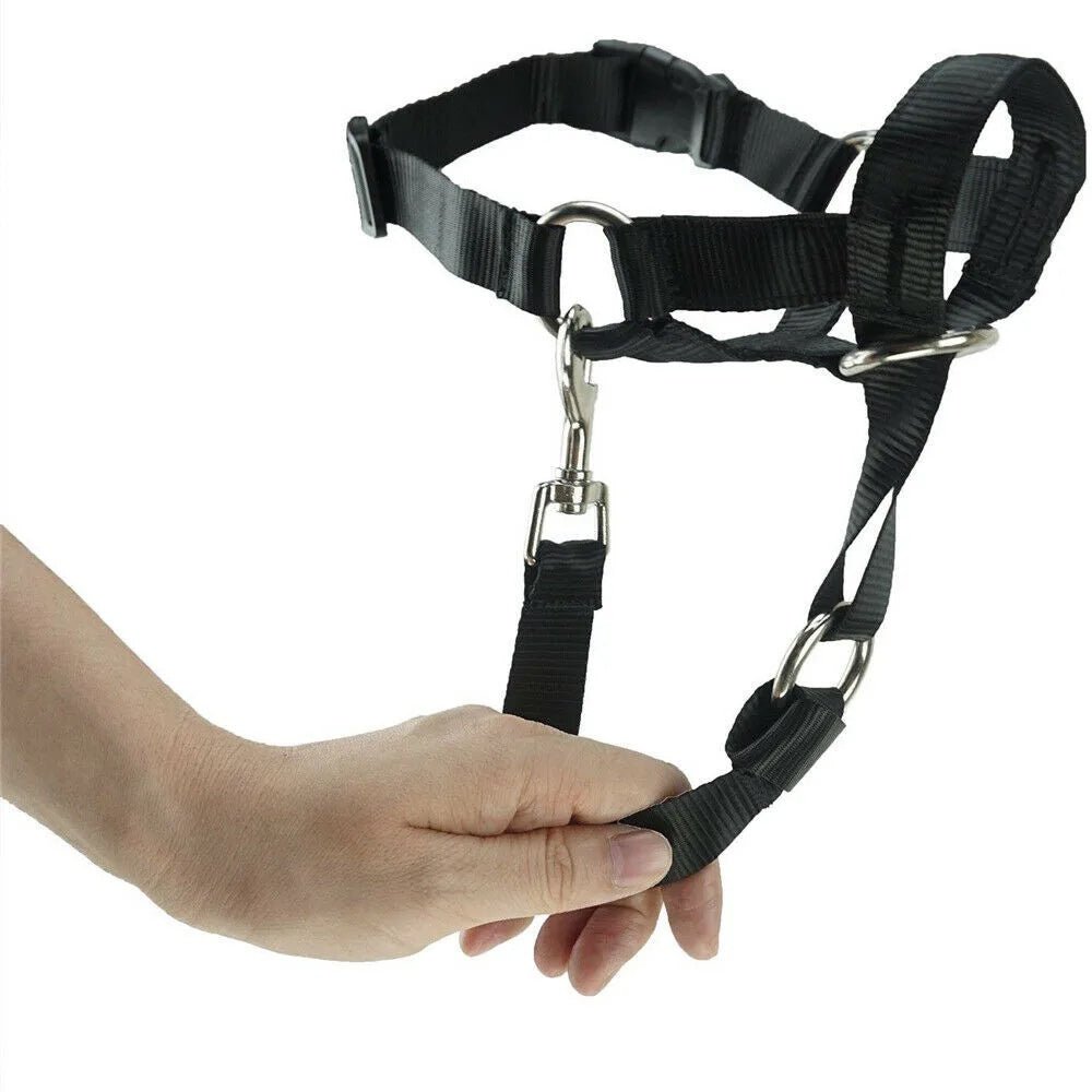 Anti - Trek Honden Halster – Halti - Style - Duke & Scoop