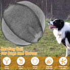 Aussie Herding Bal - Duke & Scoop